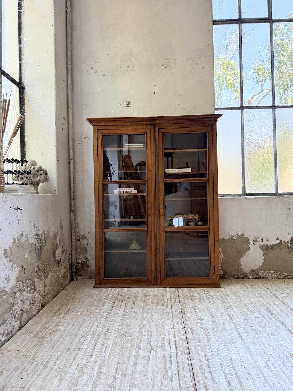 Glass-fronted walnut library 1900