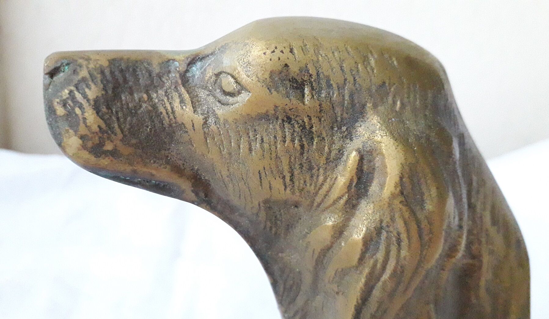 Pair of dog bookends