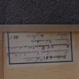 19th herbarium plank