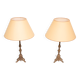 Gilded Bronze table lamps with shades France 1880s
