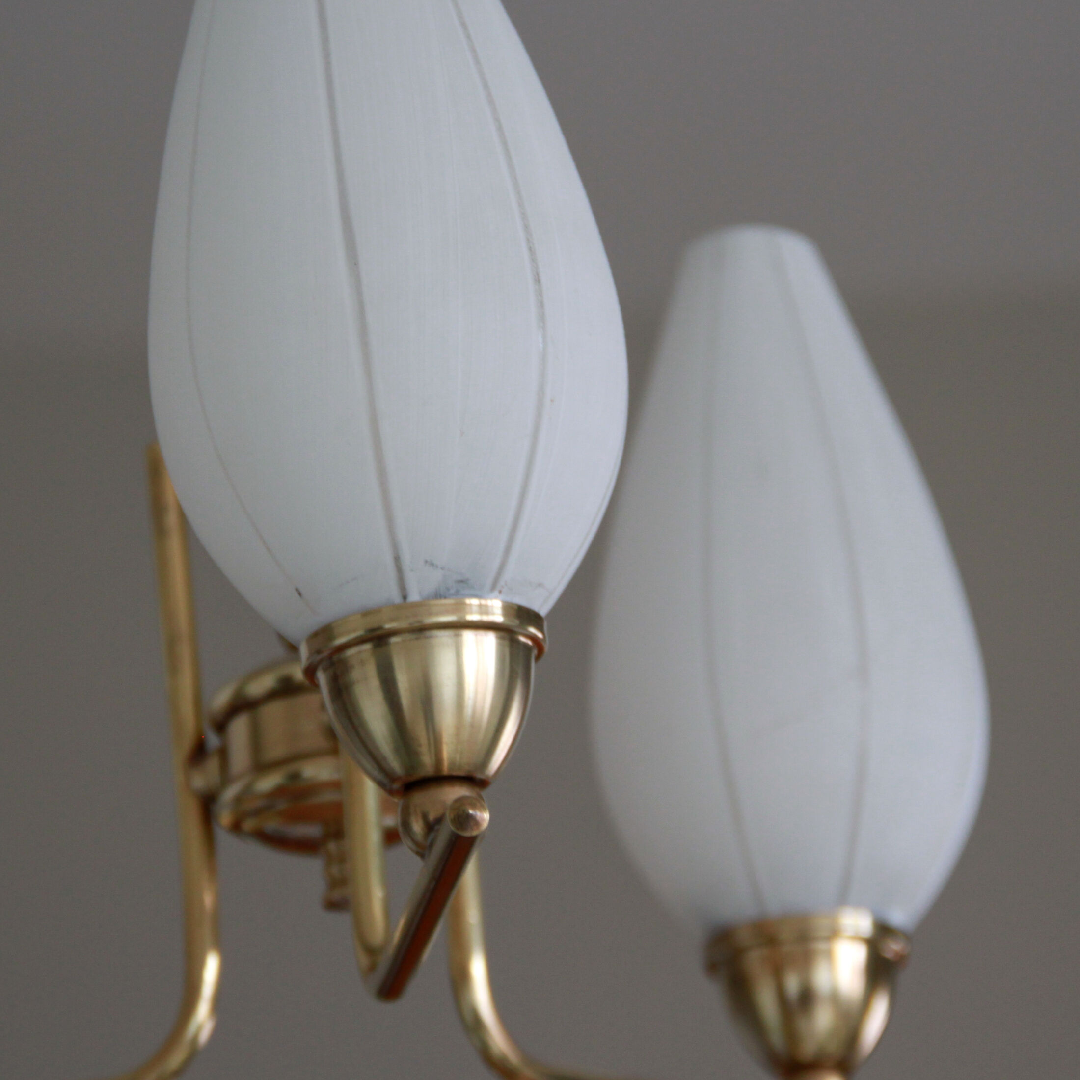 Brass chandelier and tulips in vintage white glass