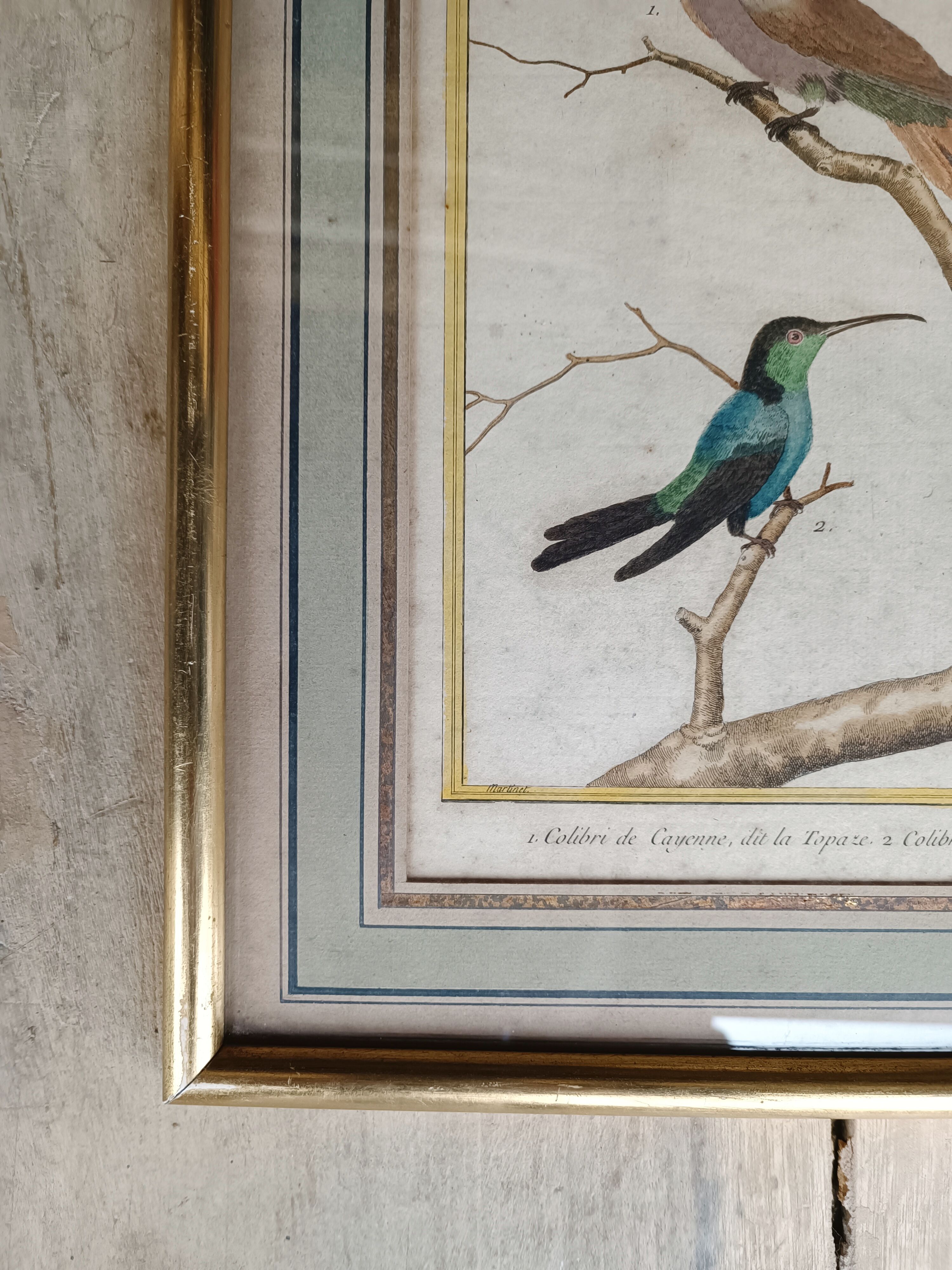 Bird engraving