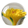Presse-papiers - sulfure fleur jaune