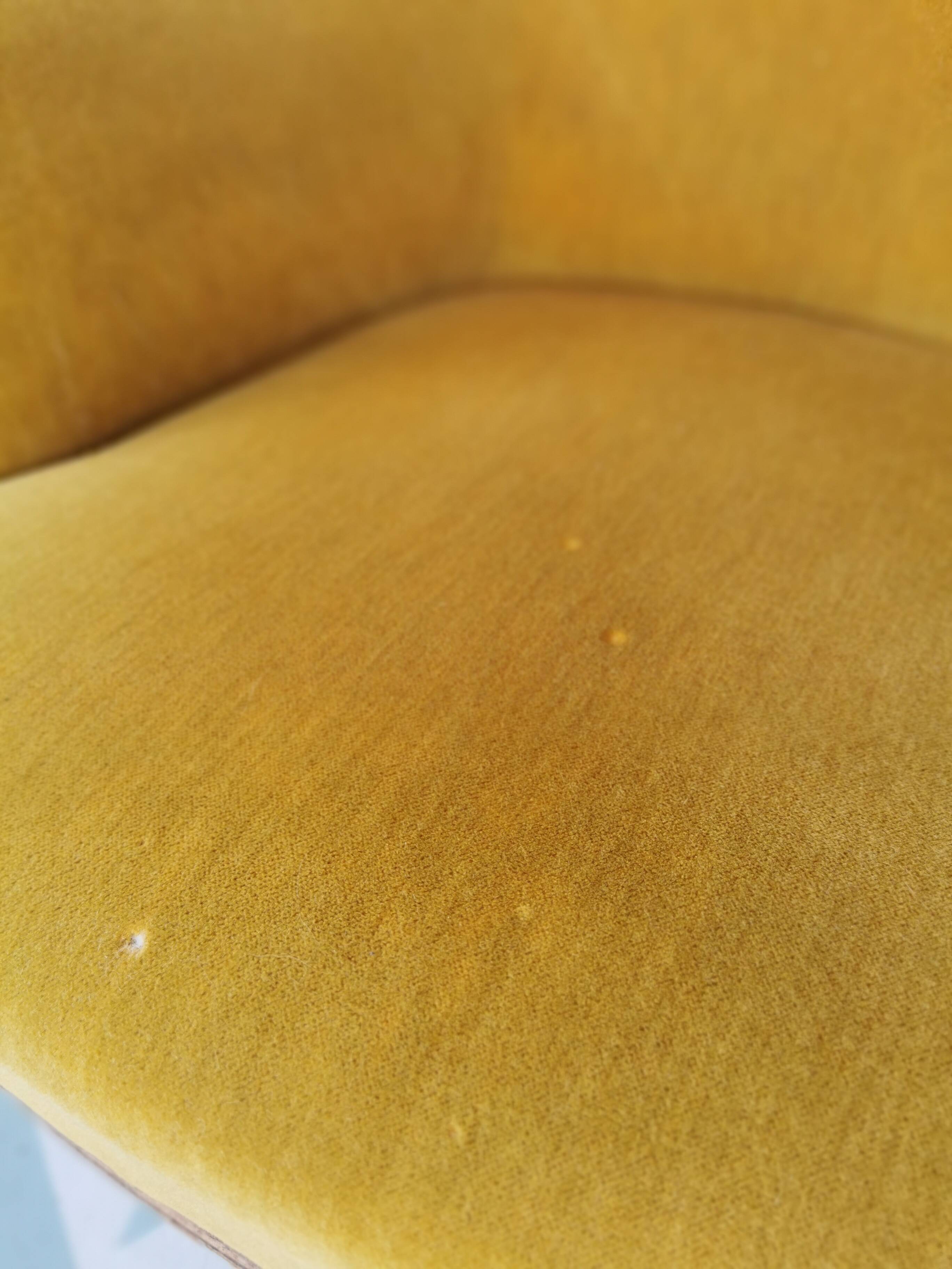 Toad armchairs