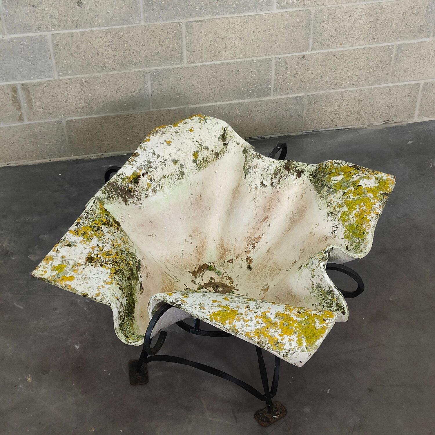 Elephant ear planter or Handkerchief, 1950 period by Willy Guhl