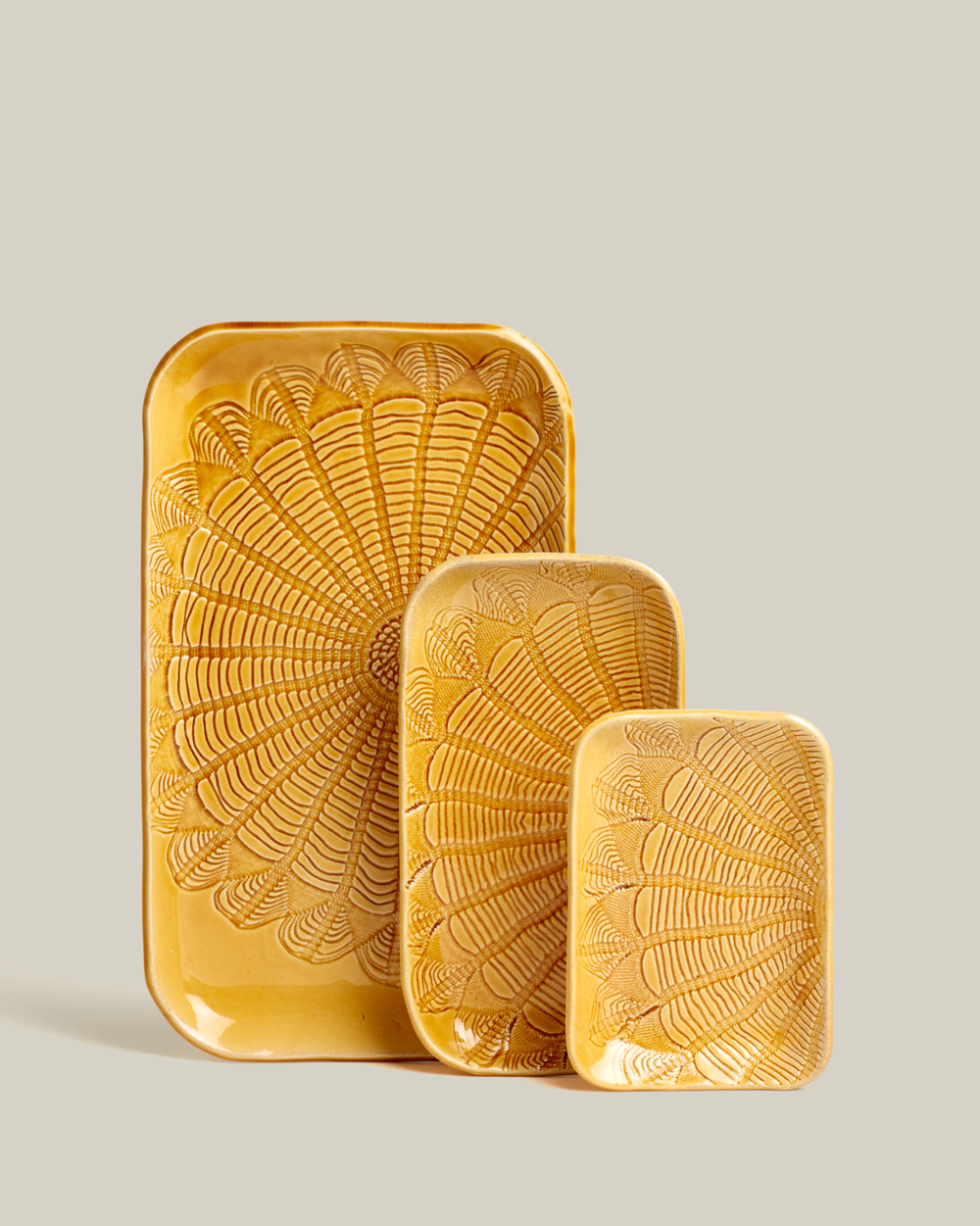 Box plata saffron S,M,XL