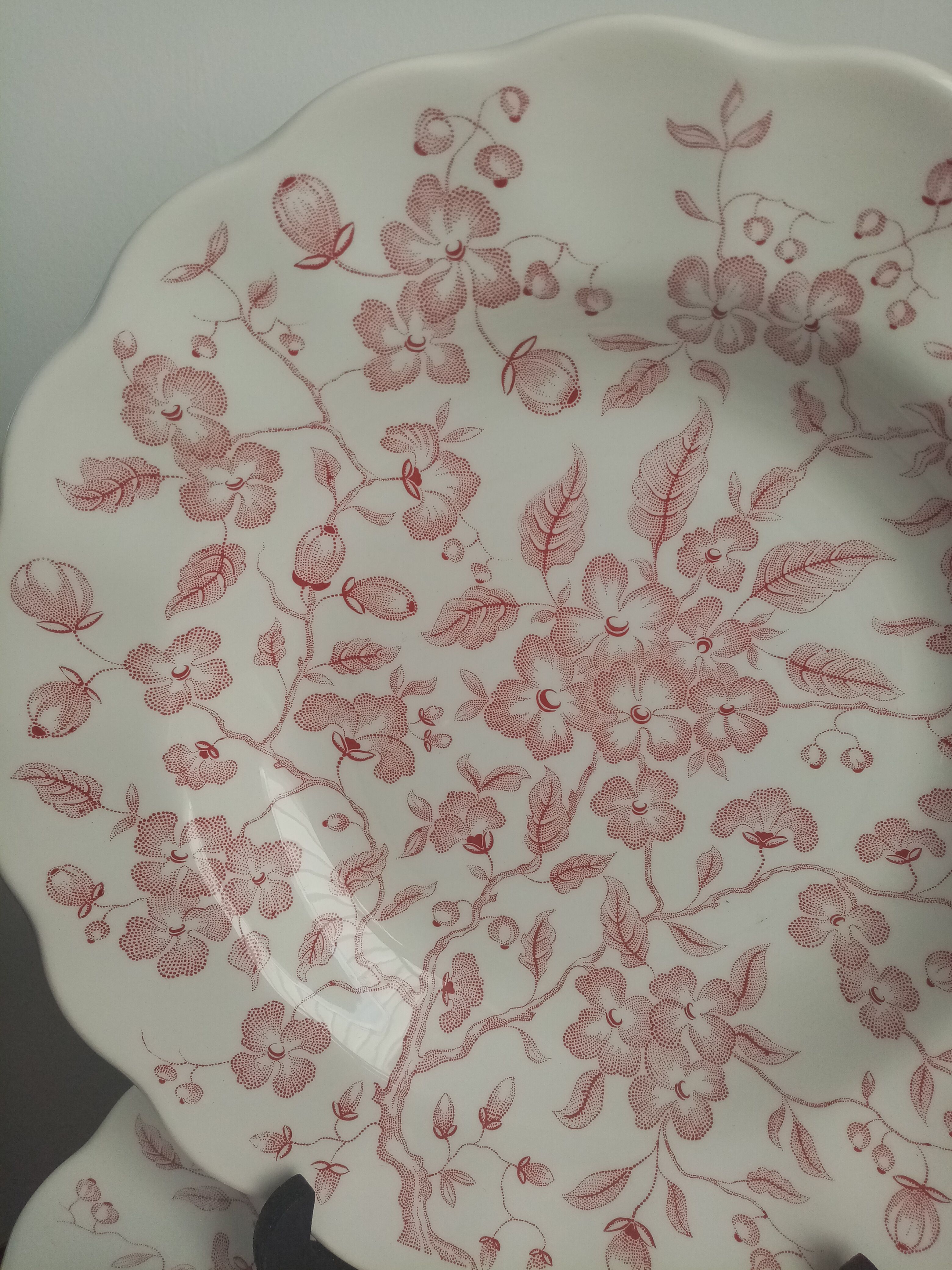 Plates nuova fontebasso