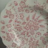 Plates nuova fontebasso