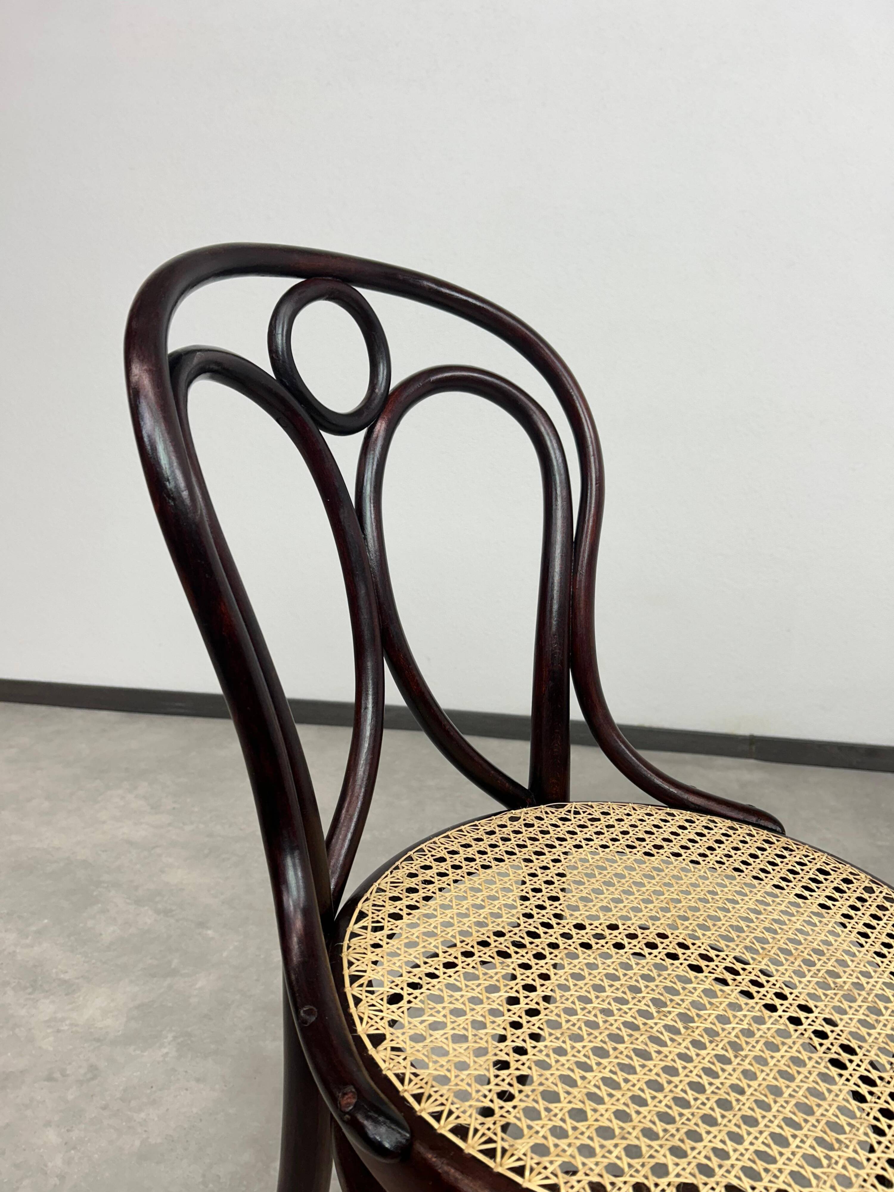 Bentwood dining chair No. 19 by Thonet