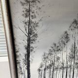 Framed Oil Painting on Canvas by Artist Painter C. M. Ollivierre