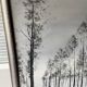 Framed Oil Painting on Canvas by Artist Painter C. M. Ollivierre