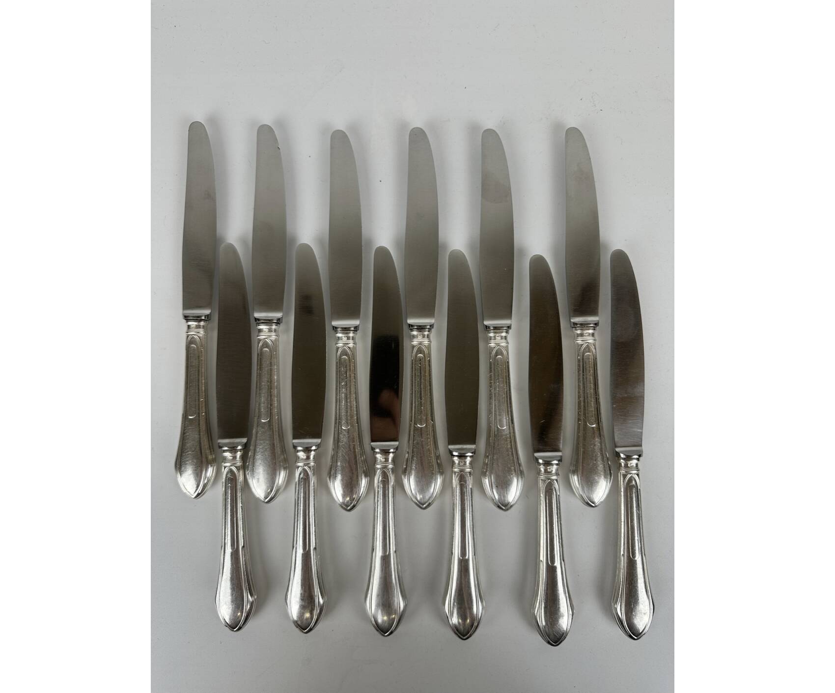 12 table knives in silver metal and steel SFAM