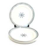 Set of 6 blue ironstone plates