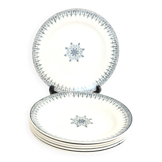 6 assiettes en terre de fer bleue
