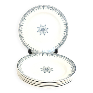Set of 6 blue ironstone plates