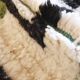 Tapis de couloir moderne