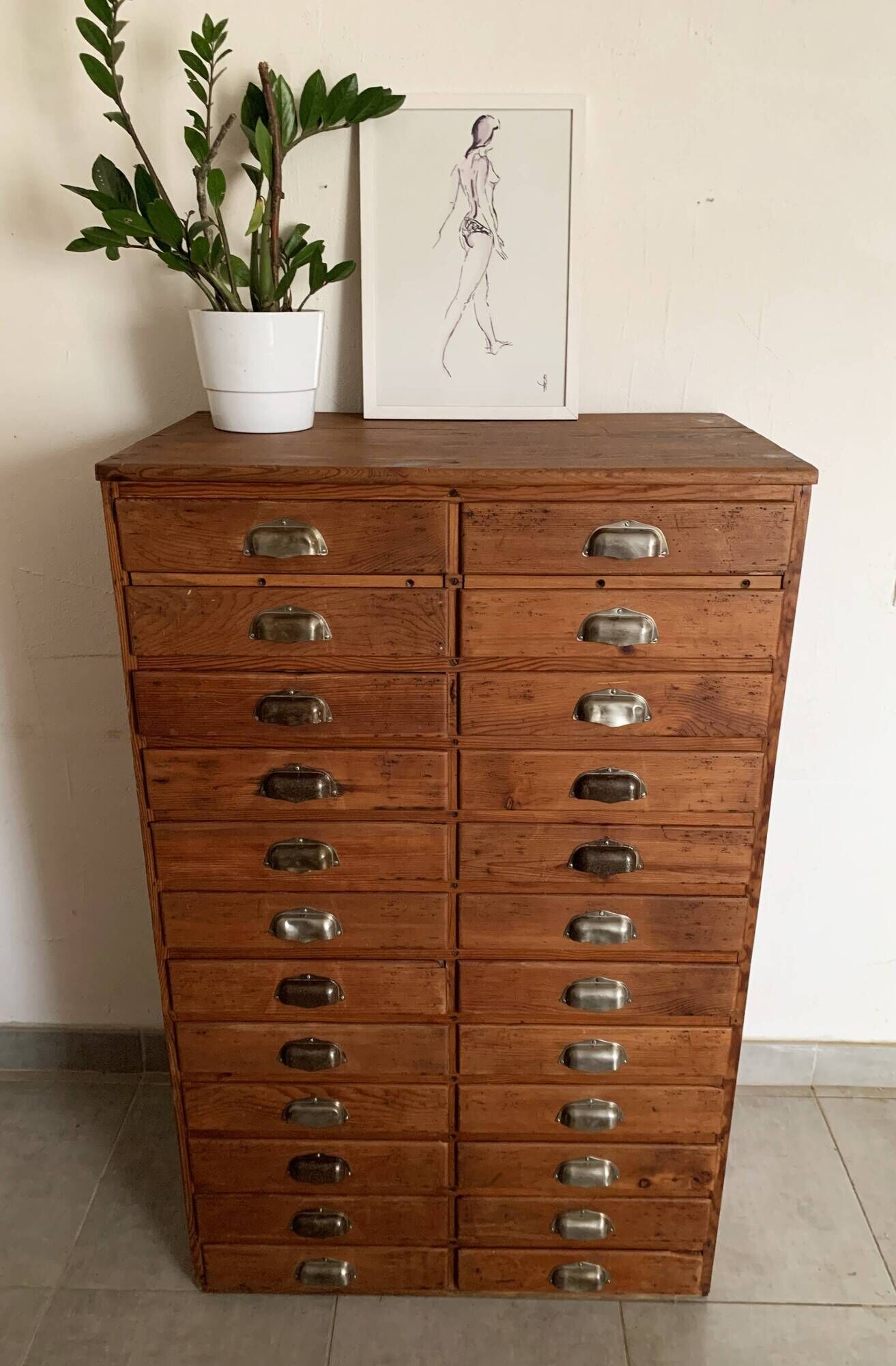 Old apothecary trade furniture in vintage wood 24 drawers.