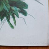 Lithograph Hollyhocks