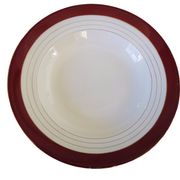 Assiettes creuses porcelaine opaque digoin sarreguemines modèle pasteur