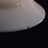 Pair of salins porcelain serving dishes, isoard pattern