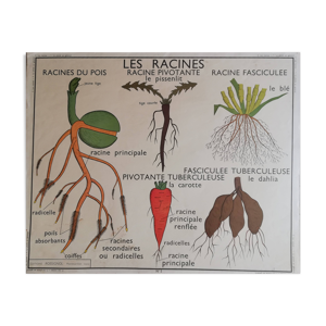Affiche scolaire ancienne Rossignol
