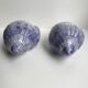 Duo of salt and pepper shaker in slurry shell pattern 70s