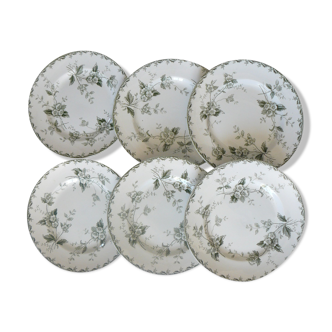 Lot de 6 assiettes plates