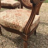 Salon style Louis XVI