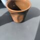 Revol espresso coffee cups