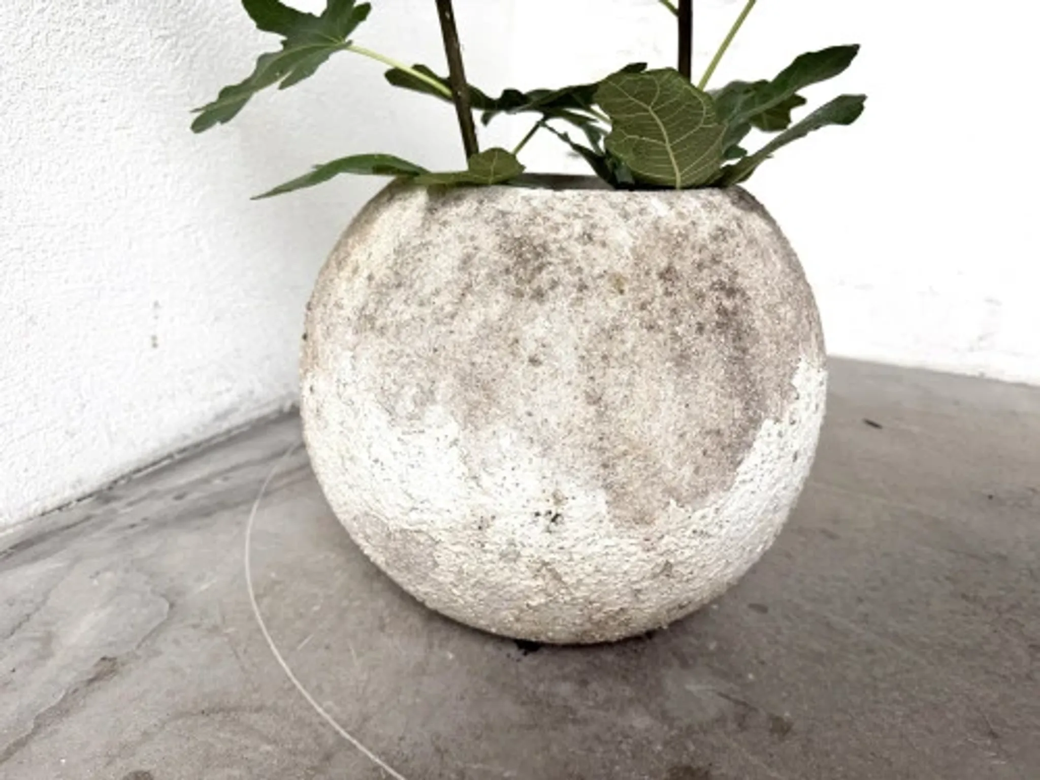 Spherical fibreglass planter, DLG Willy Guhl, 1960s