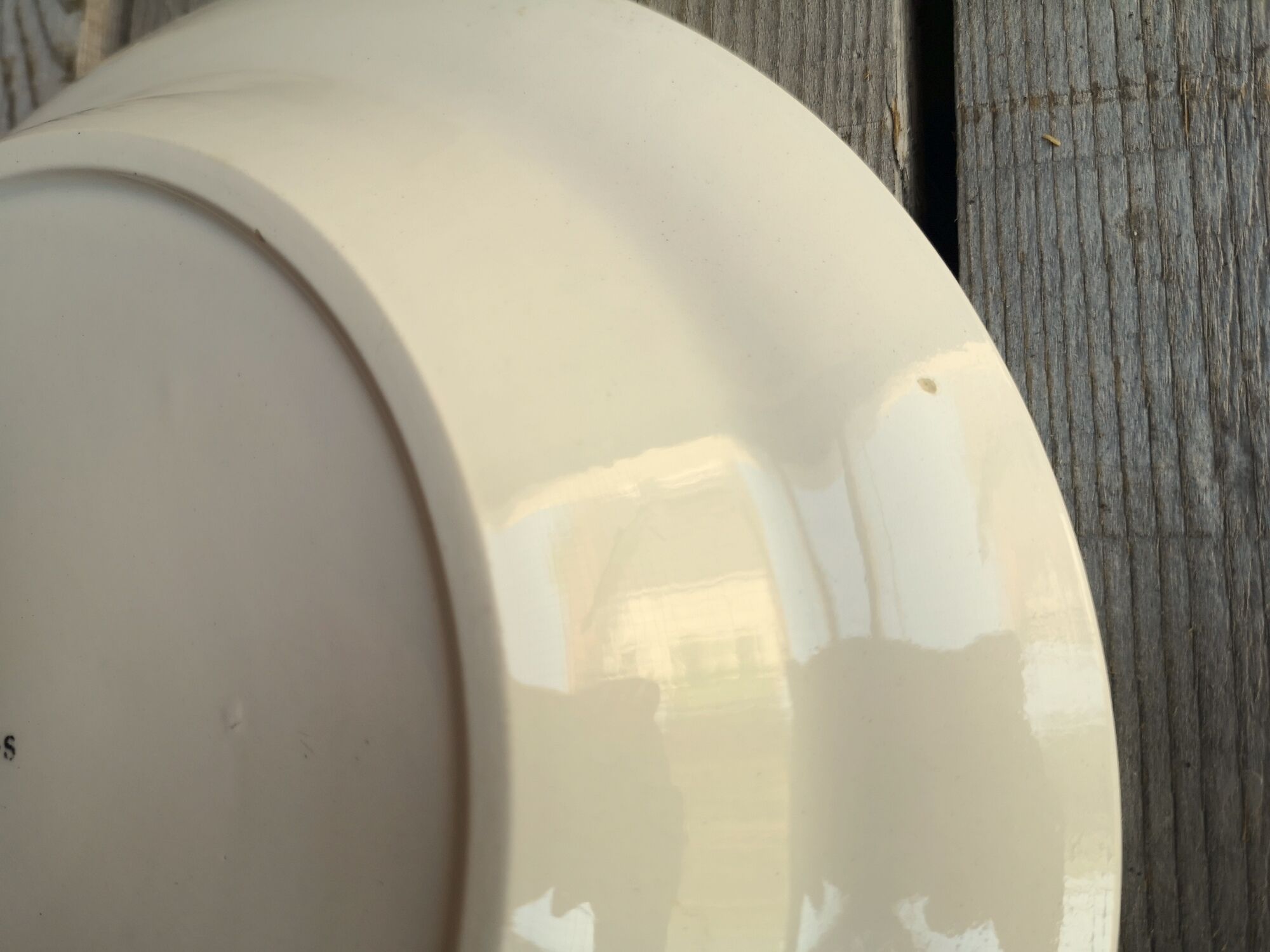 Digoin Sarreguemines plate