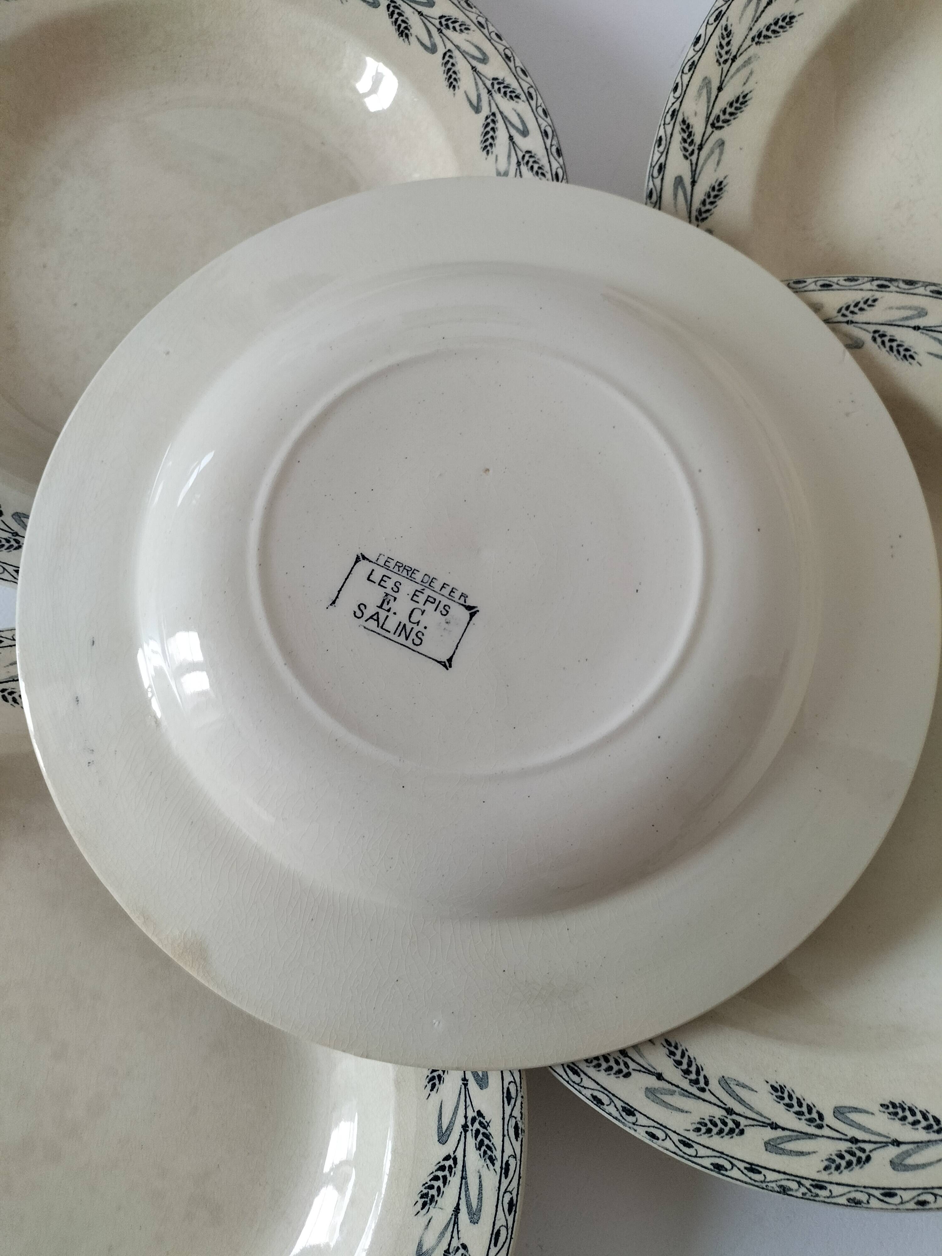 6 old E.C. Salins “Les Épis” ironstone soup plates