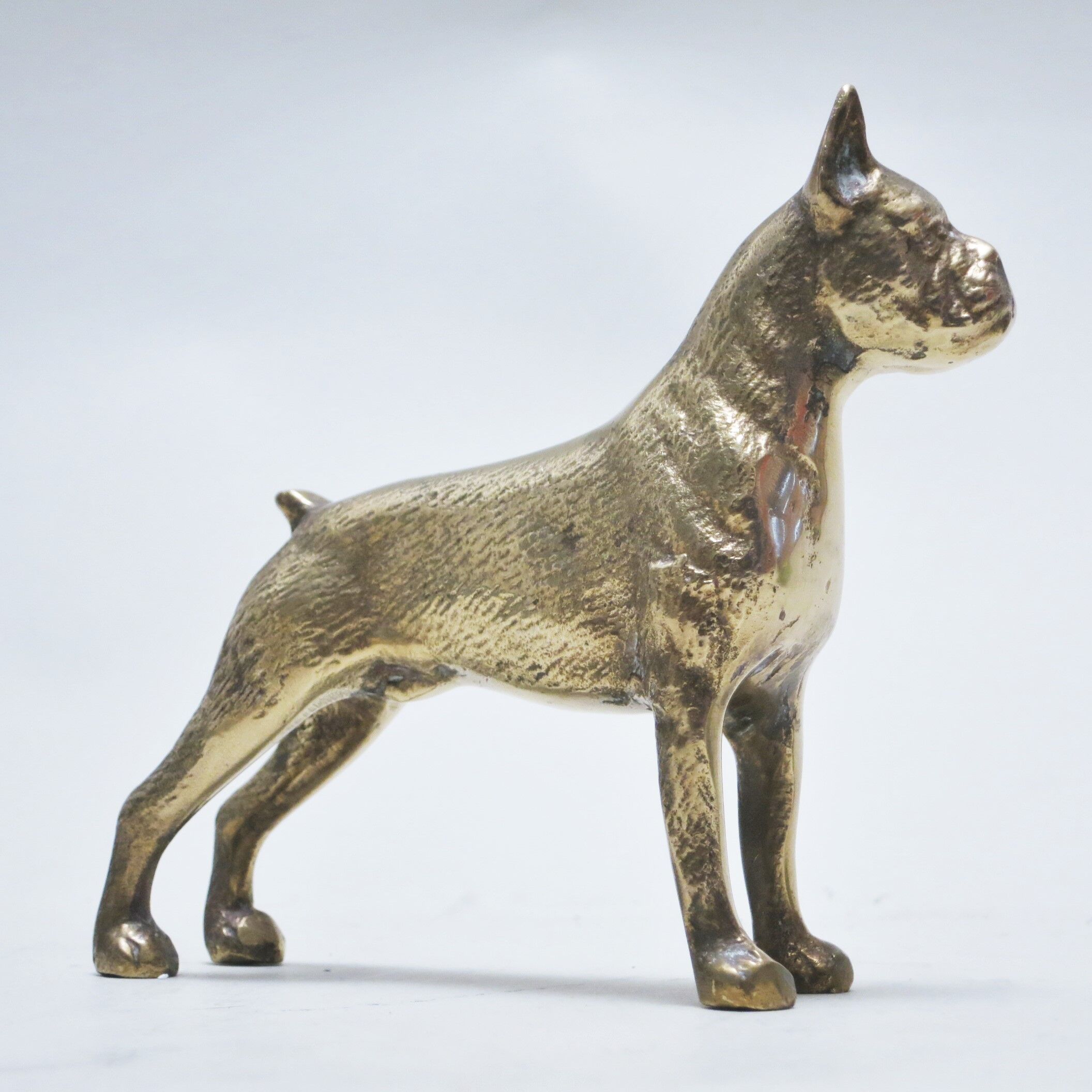 Brass dog