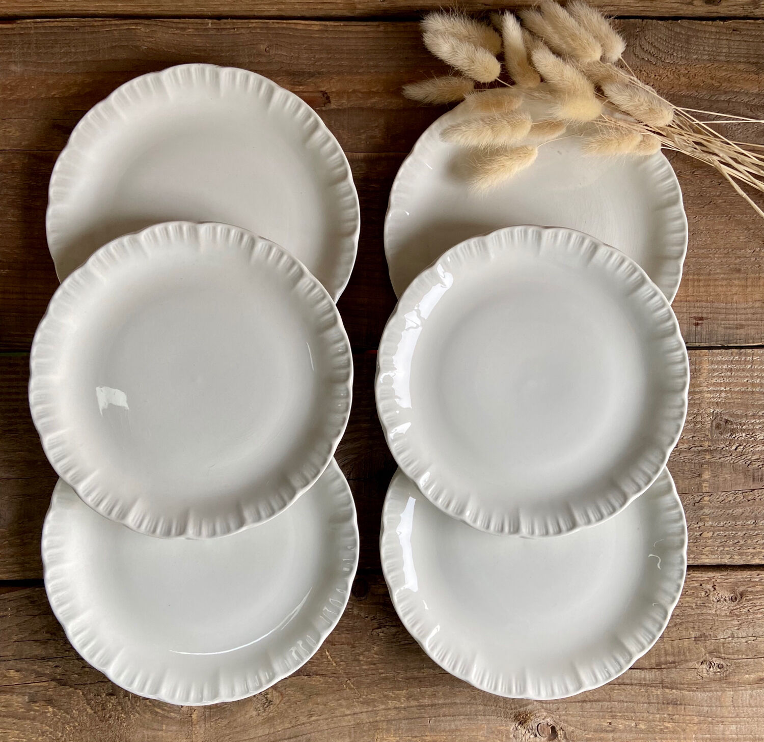 6 Digoin Sarreguemines dessert plates