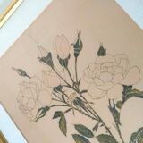 Golden golden botanical roses