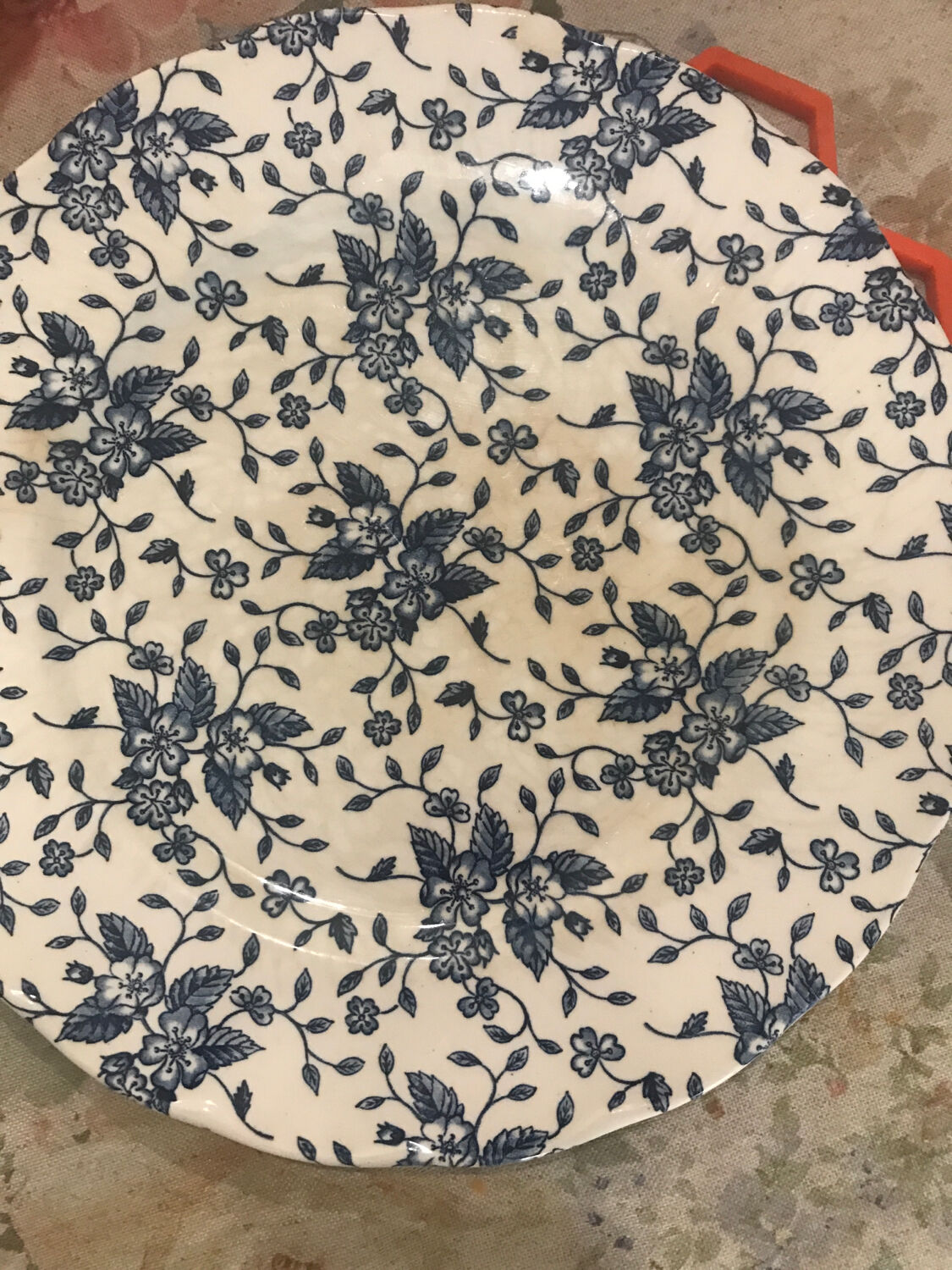 Blue Flower Plates Tudor Royal Grindley