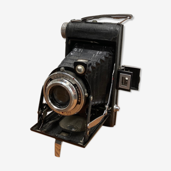 Bellows camera