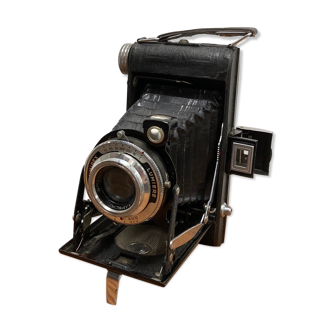 Bellows camera
