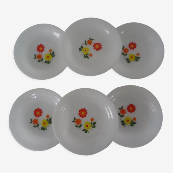 6 assiettes  fleurs orange jaune calotte arcopal vintage