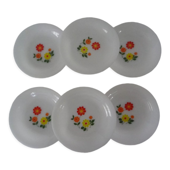 6 plates flowers orange yellow crown arcopal vintage