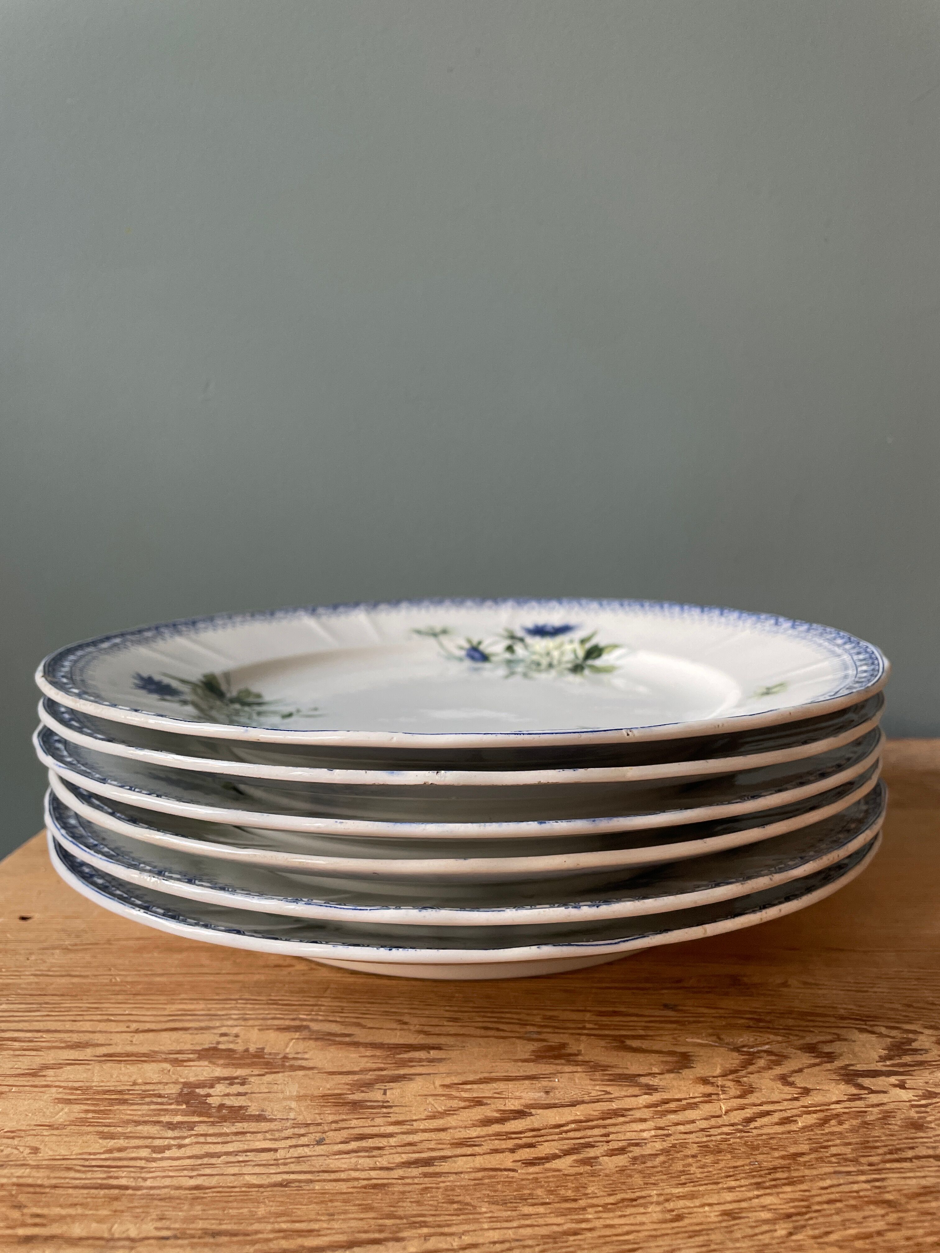 Lot de 6 assiettes plates Terre de Fer St Amand et Hamage