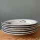 Lot de 6 assiettes plates Terre de Fer St Amand et Hamage