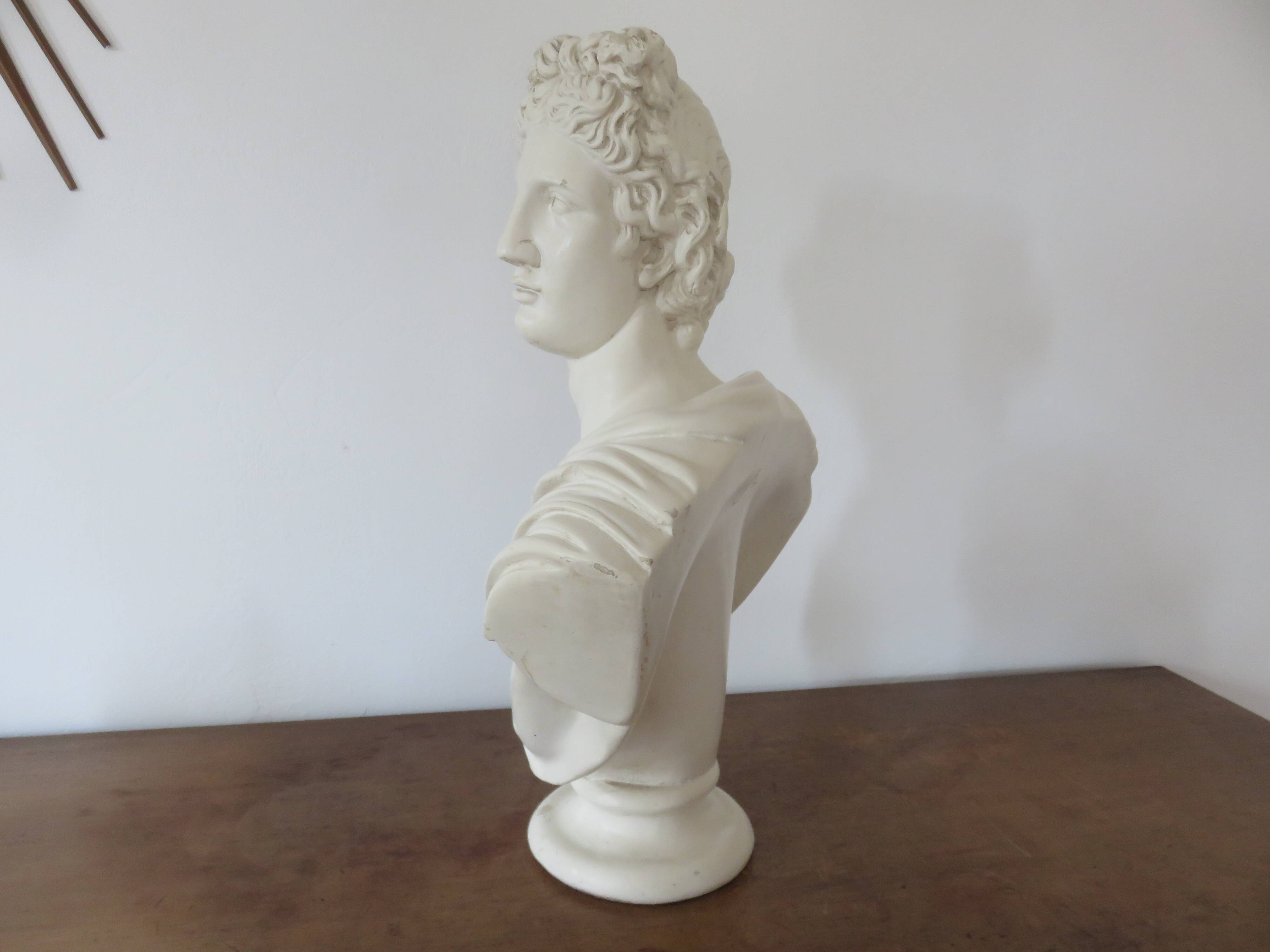 Plaster bust "apollo" 52cm. early 20th century