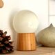 Pair of lamps with wooden base and glass globe, 1970s