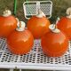 Set of 5 orange glass ball pendants from the 70s
