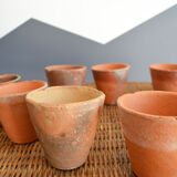 10 old seedling pots
