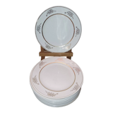 Old Ceranord plates