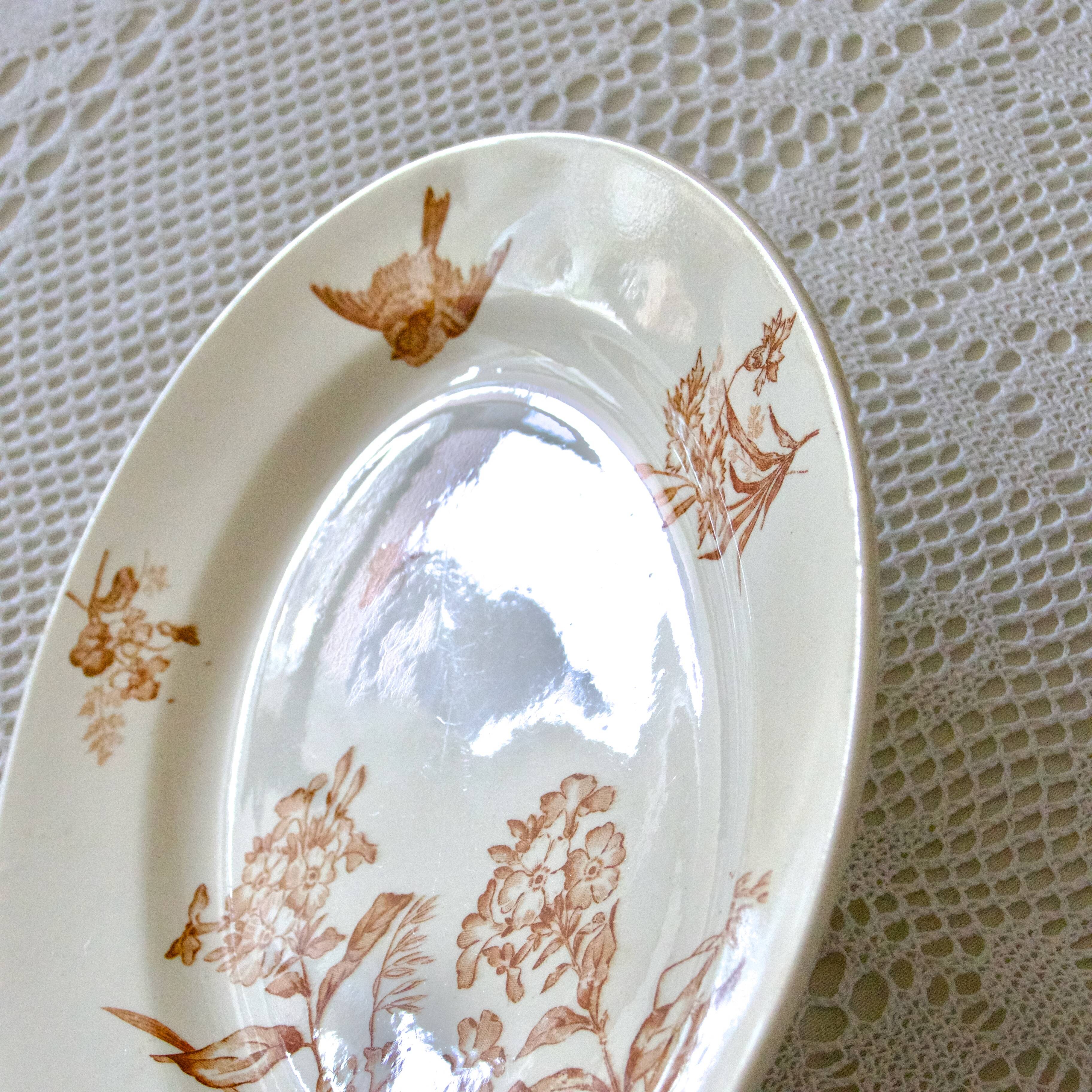 Large oval dish 19th century Longwy iron earth sepia "Botanical" bird