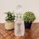 Lalique France crystal carafe – Parma model