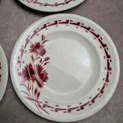 Set of 6 flat plates in ironstone Longwy – Viennese model – Red flowers